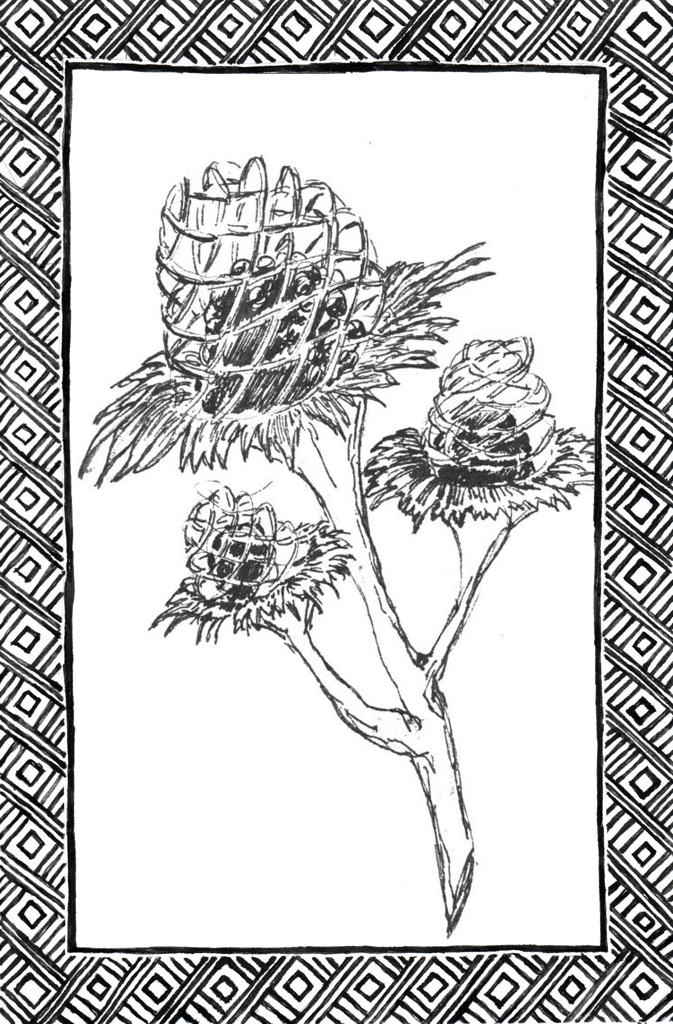 Slide 37